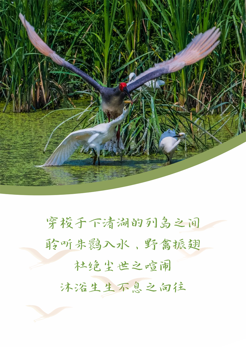 心心念廿 相伴抖圈 | 与德清相约 贺廿载诞辰